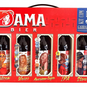 KIT CERVEJAS DAMA DIVERSAS 355ML